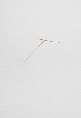 Joana Escoval, Lascia Vibrare, 2024