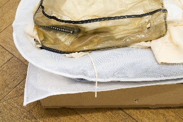 Céline Mathieu, Silk Worm Silk, 2025
