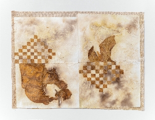 Jonathan Sanchez Noa, Untitled (Bata y su sombra), 2025