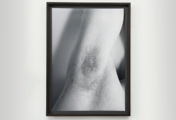 William Mackrell, Axilla, 2021, 70 cm x 50 cm, Etching on C-type print