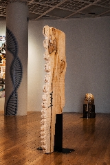 Eusung Lee, Backbone, 2021