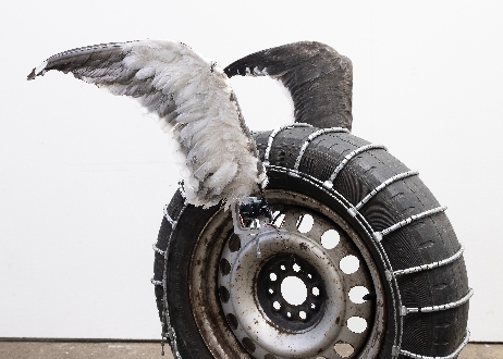 wanda: Hanna Antonsson, Auto wing IV, 2022, taxidermy great black-backed gull wings, arduino, servo motors, car tire, 65 x 65 x 30 cm. Courtesy of the artist and wanda