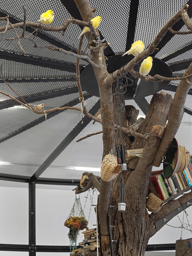 A photo that for Heike Munder represents the current moment: Mark Dion, The Library for the Birds of Zürich, 2016/2020, Detail, Sammlung Migros Museum für Gegenwartskunst, Exhibition view Migros Museum für Gegenwartskunst, photo: Lorenzo Pusterla. Our exhibition Potential Worlds 1: Planetary Memories had to close one week after its opening. The birds in Mark Dion’s Installation The Library for the Birds of Zürich (2016/2020) had to move back to their owners, and we also had to leave the museum for months. We are thus happy to be back now, together with the canary birds and zebra finches, to bring back life in the museum.